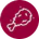 Function