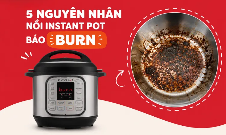 lỗi Burn IP 1
